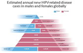 HPV e câncer