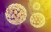 O que é a HPV?